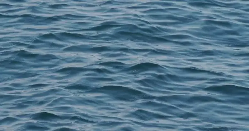 Ocean waves